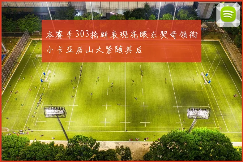 本赛季303抢断表现亮眼东契奇领衔小卡亚历山大紧随其后